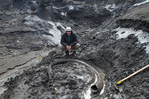 Paleontologist Tyler Kuhn with a woolly mammoth tusk emerging from the frozen ground at a placer mine at Quartz Creek. Photo courtesy of Government of Yukon 