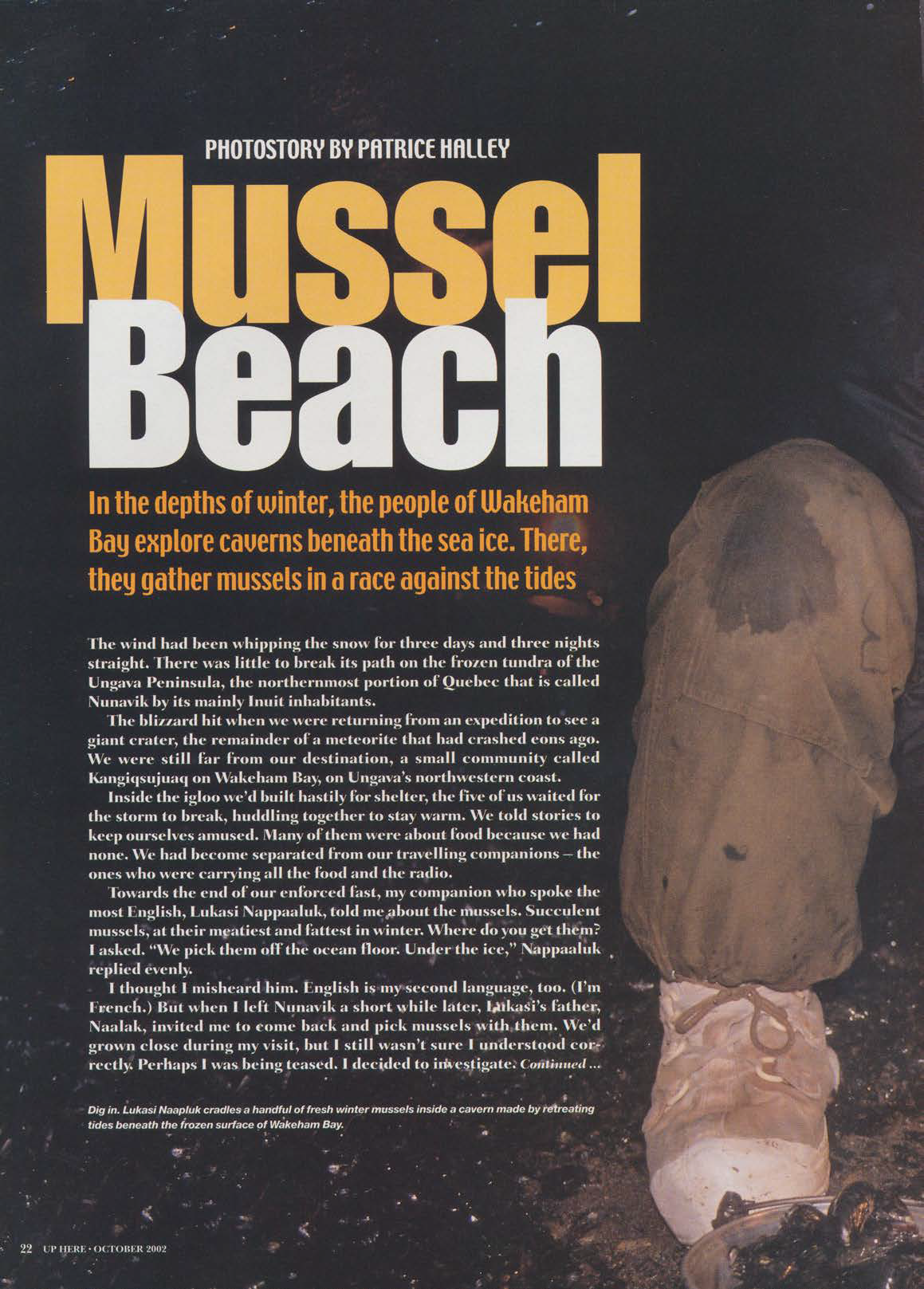 MusselBeach-1