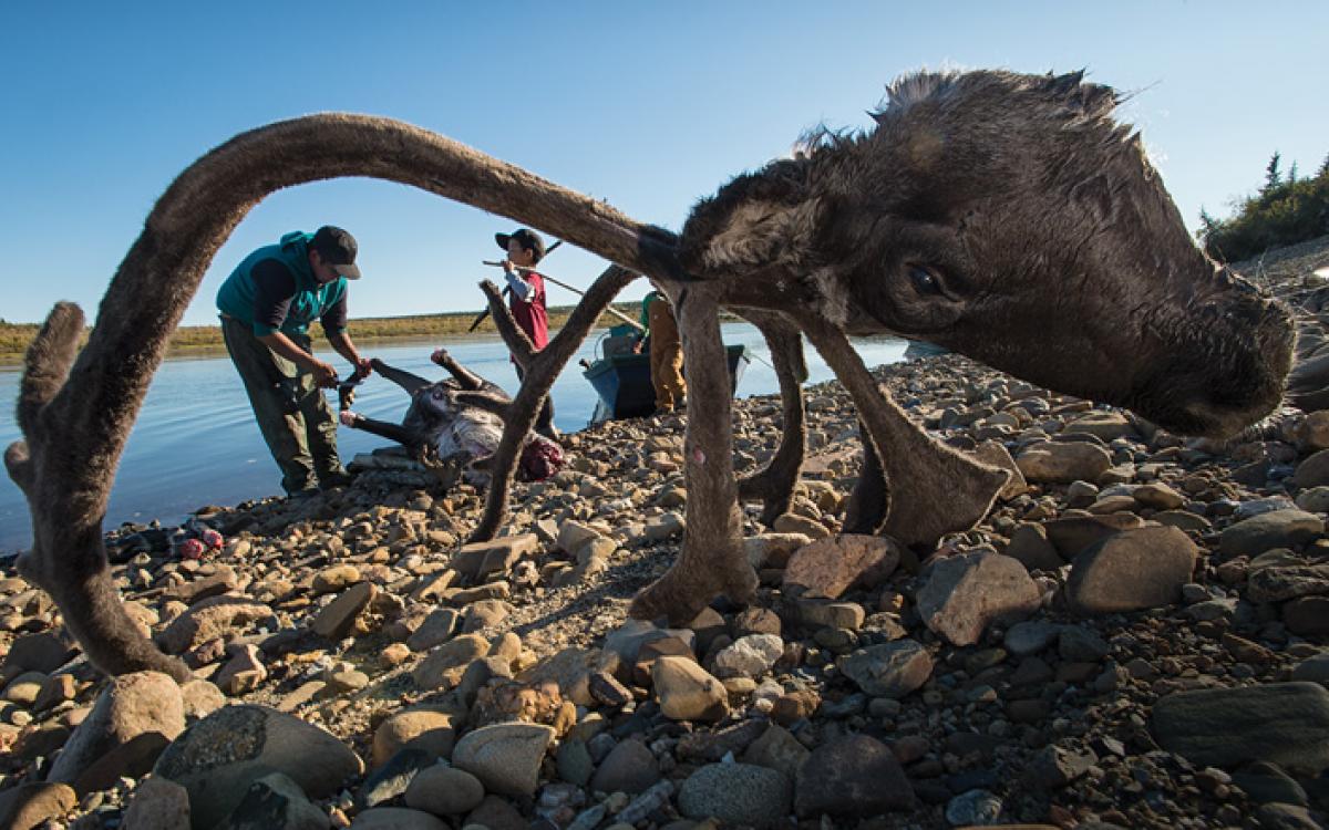 Butchering is a family event on the river banks, with children playing, watching and learning. Photo Peter Mather