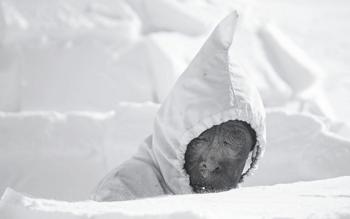 COURTESY PUVIRNITUQ SNOW FESTIVAL/KATHERINE DAPHNE