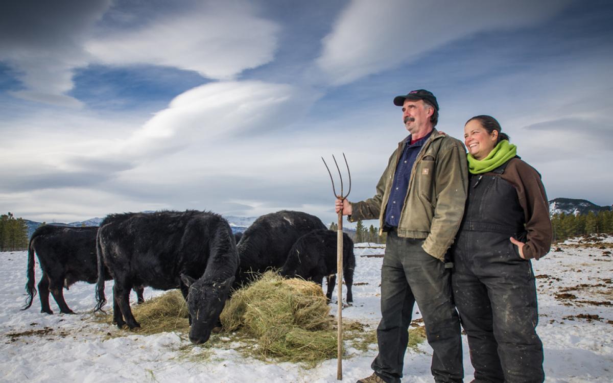 Made in the Yukon: Hay is a big cash crop in the Yukon; local producers can compete with southern farms because they don't have to pay major transport costs. Photo by Cathie Archbould