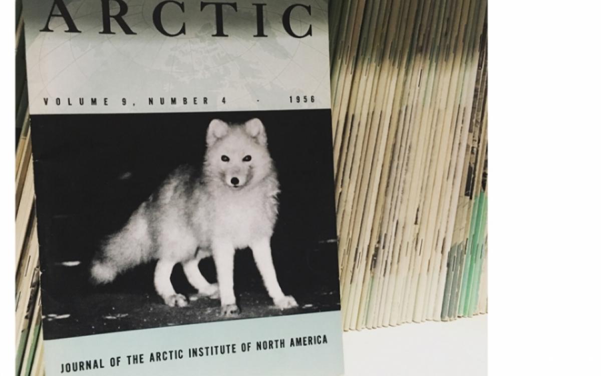 OUR TROVE OF ARCTIC LORE IS LOOKING FOR A GOOD HOME.