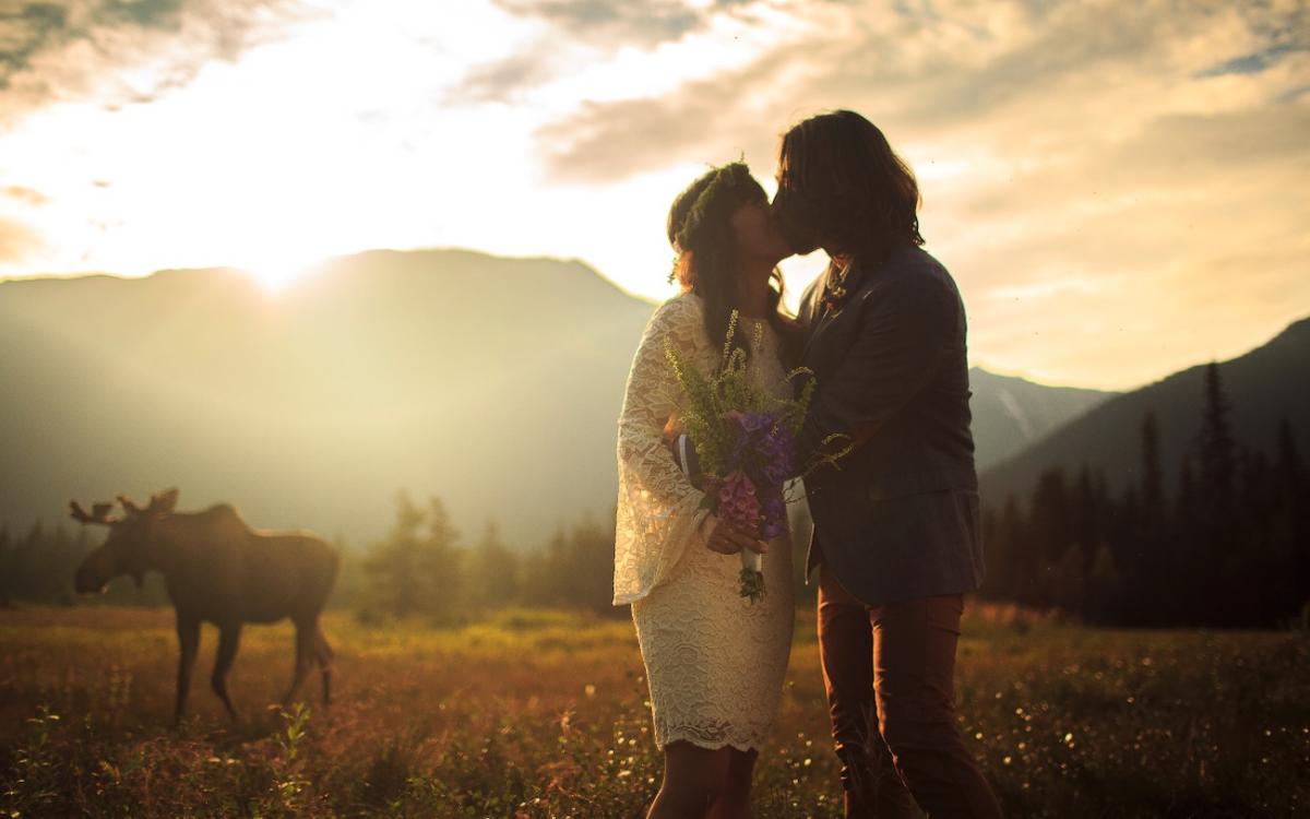 This kissing couple travelled all the way up from the sunny beaches of Hawaii to the wild backcountry of the North for their one-of-a-kind destination wedding. The moose who's wandering through their wedding photo apparently had no objections to the union.