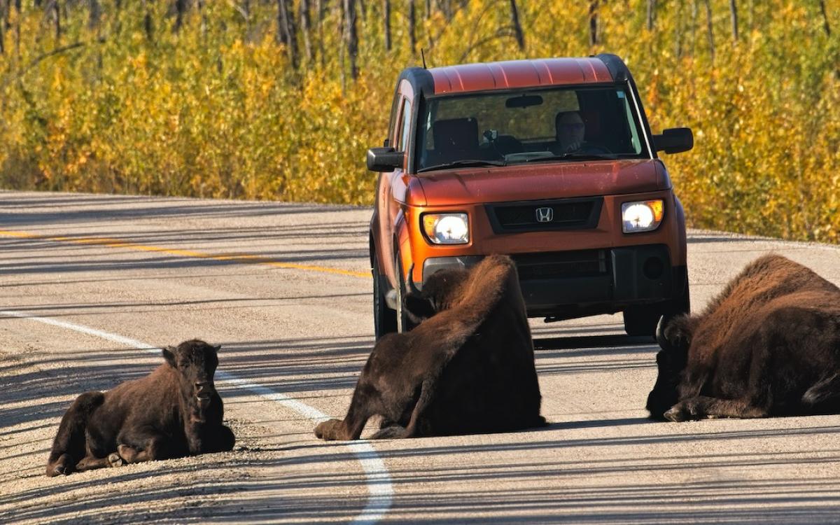 Photo by Bonnie Grzesiak