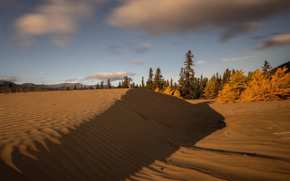 Carcross Desert