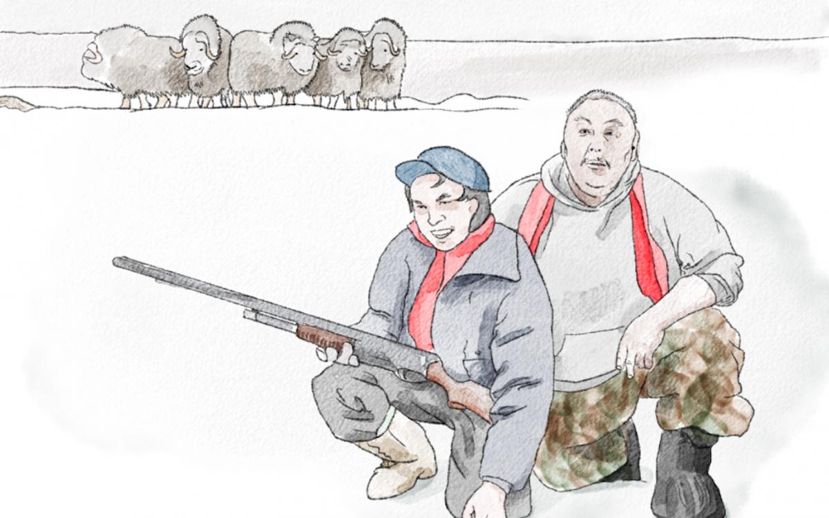 An illustration of Kovalaq and his grandson, kneeling in front of muskox.