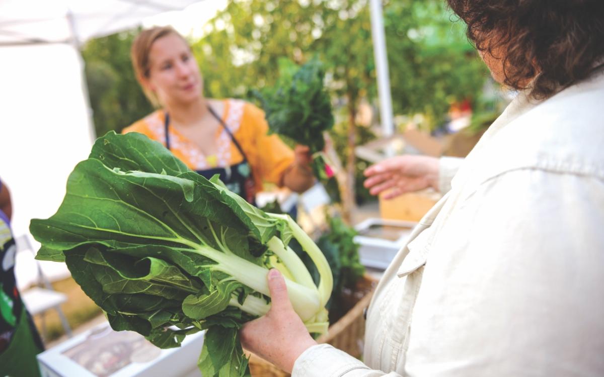 Yellowknife hosts a farmers' market every summer with fresh vegetables on hand.