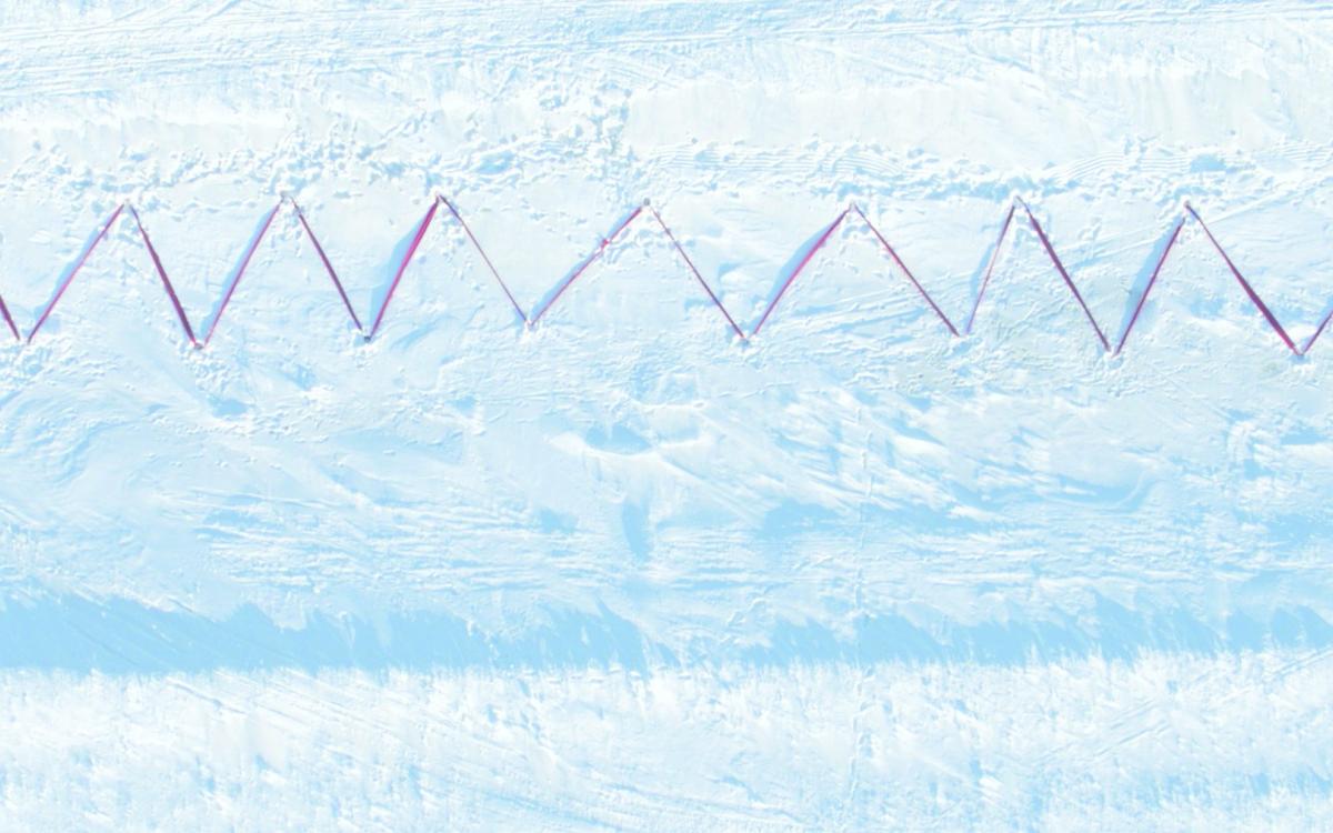 Stitching My Landscape by Maureen Gruben