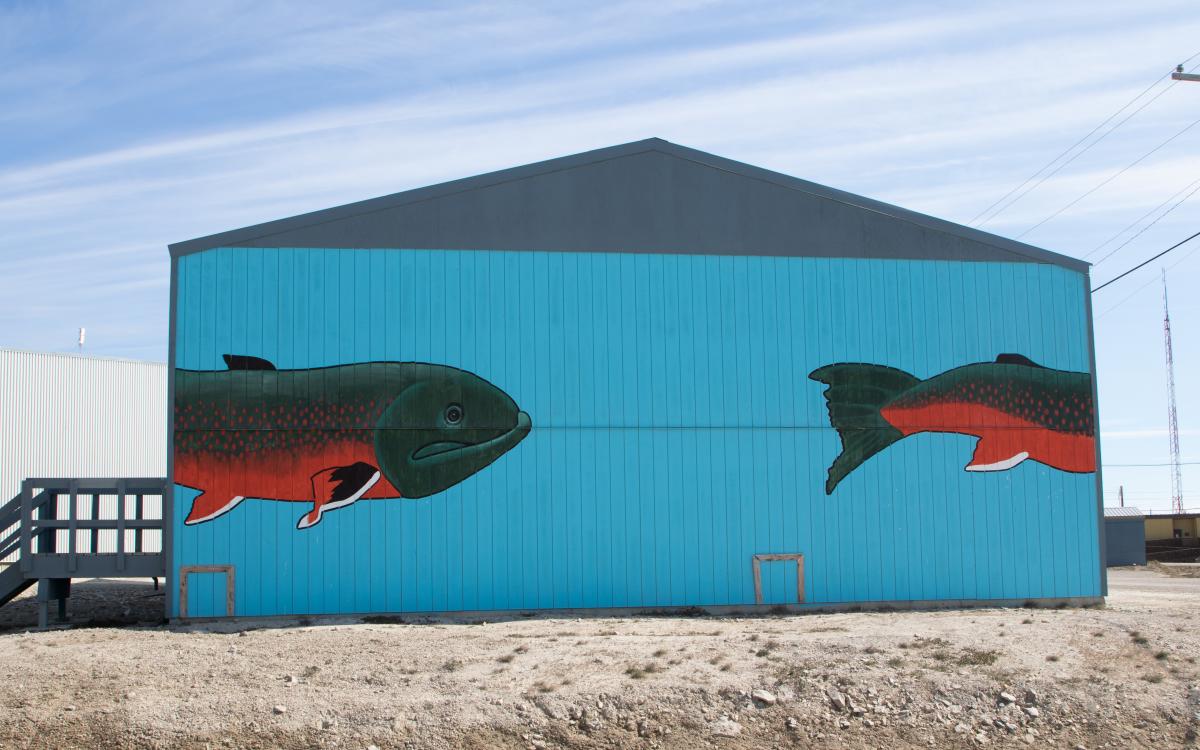 Fish on Cambridge Bay pool.