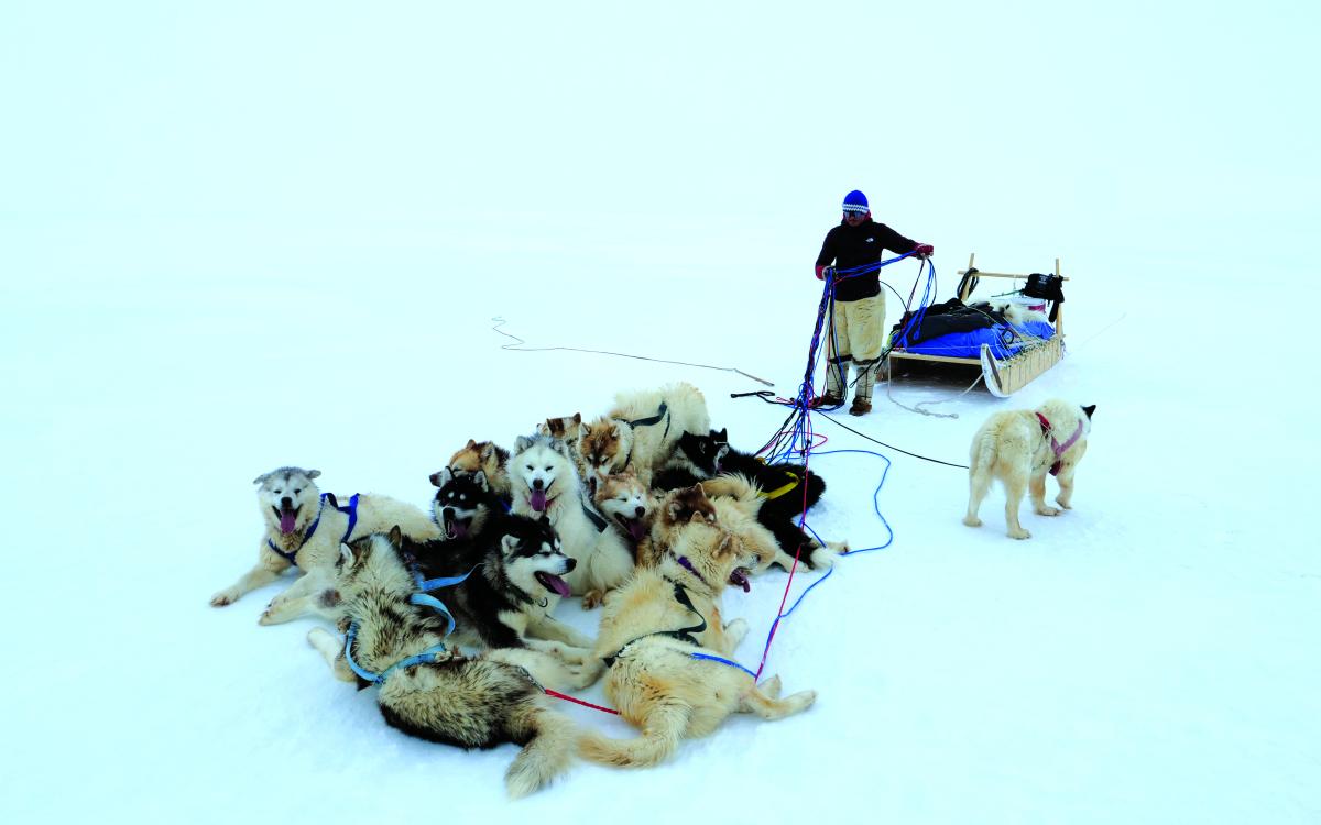 Devon Manik and sled dogs.