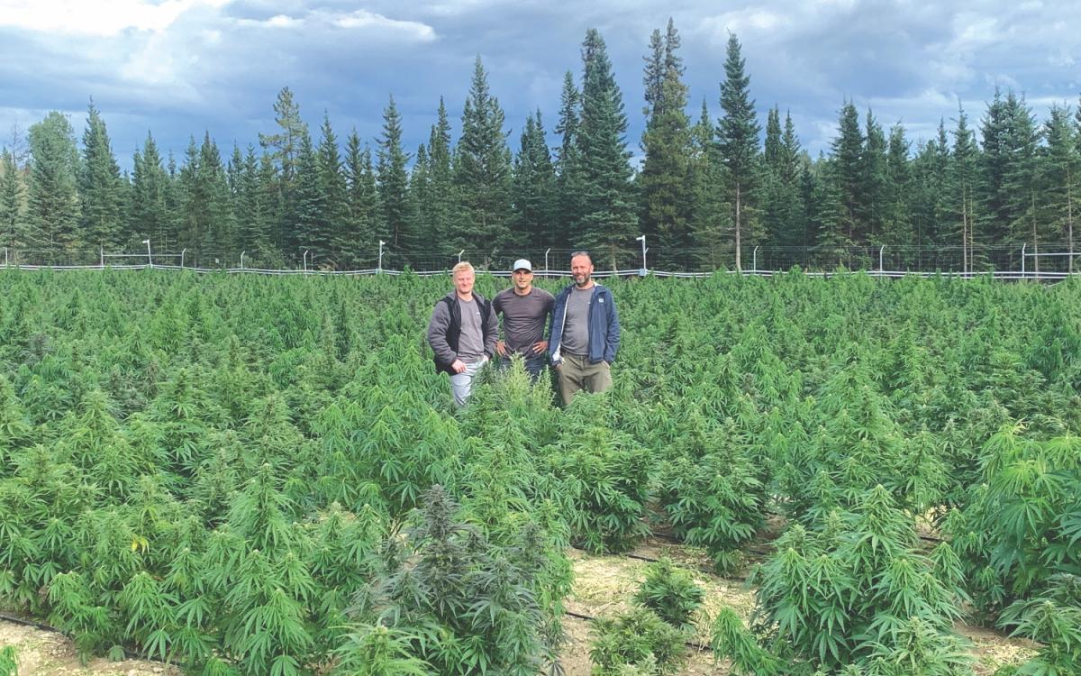 Sean Stofer, Chris Cornboro and Michael Austin—COO, CEO and chief marketing officer