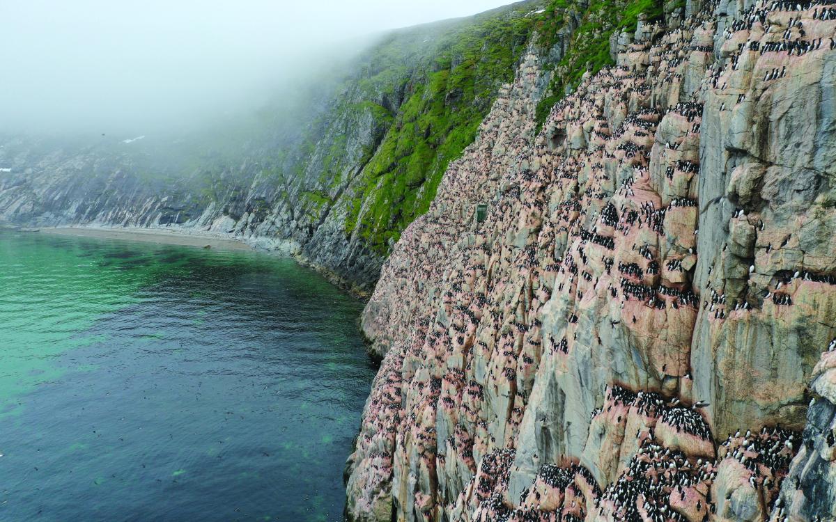 Photo's courtesy of Douglas Noblet