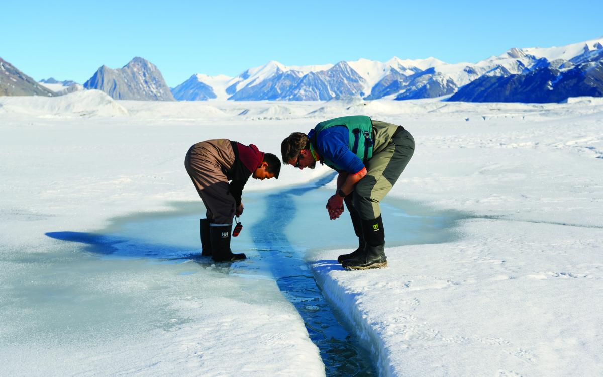 Photo by Dustin Patar