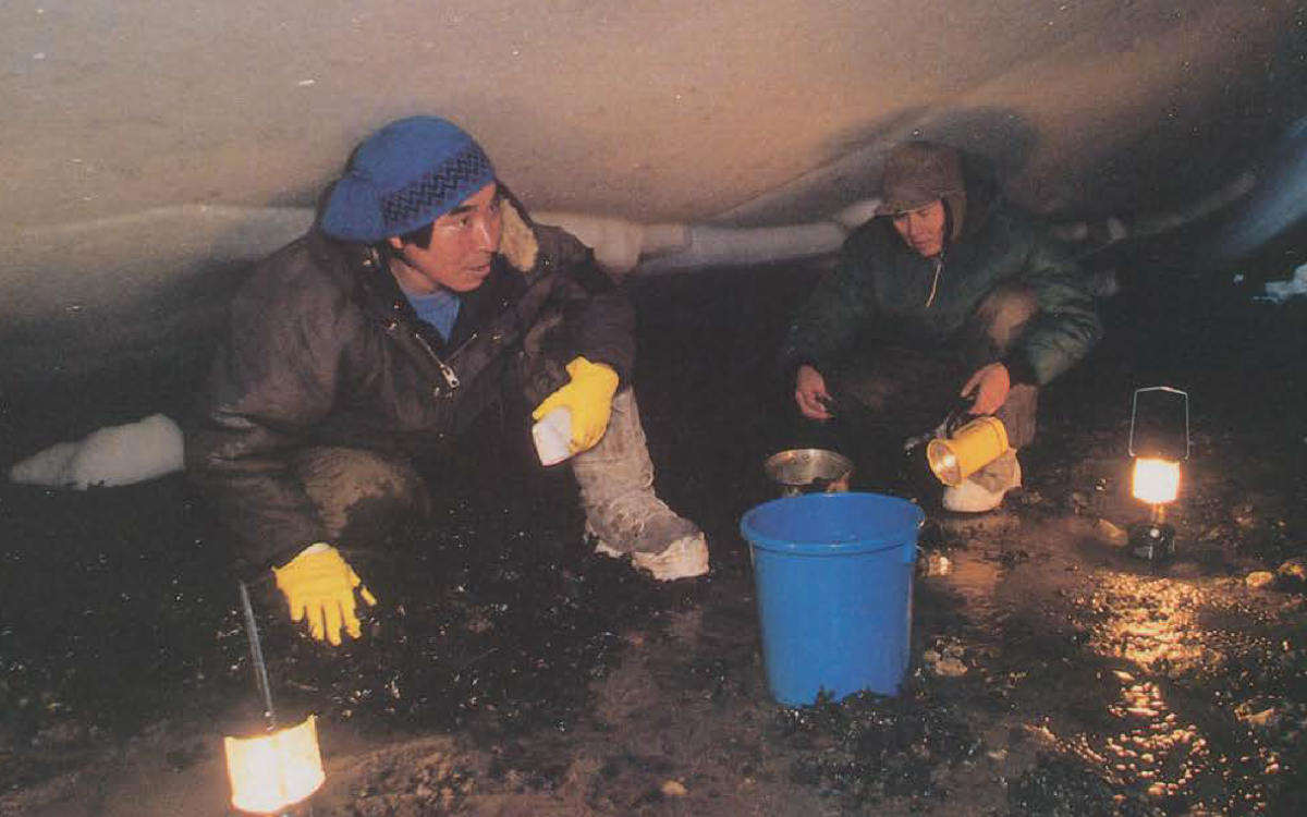 Photography by Patrice Halley