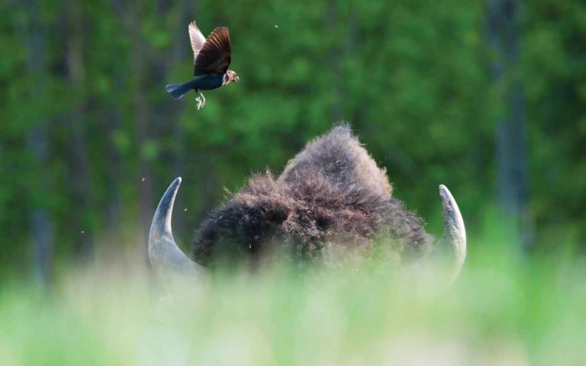 Photo by Peter Mather