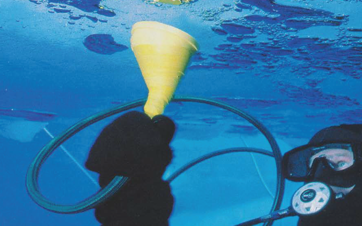 Photo by Paul Nickle