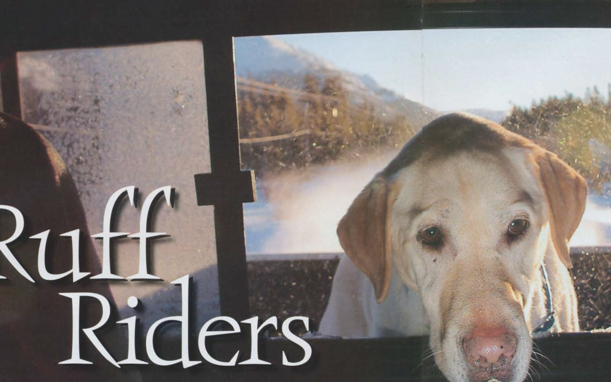 Photo by Derek Crowe