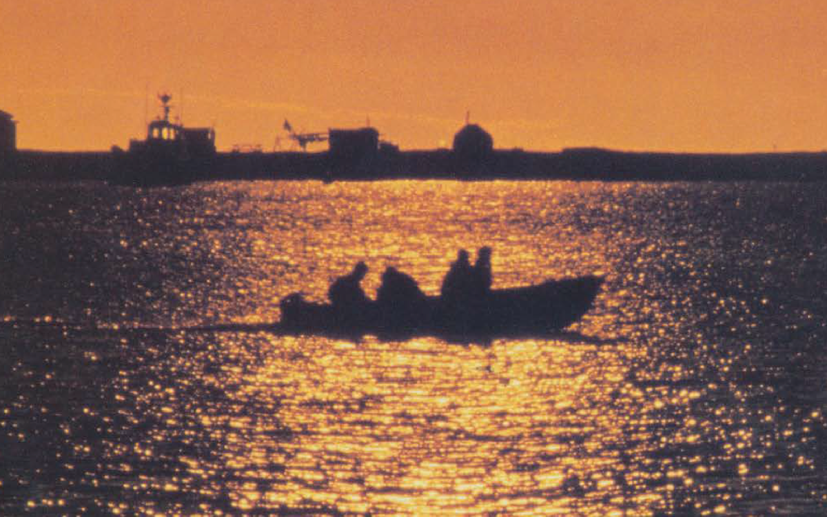 Photo by Michael Sharpe