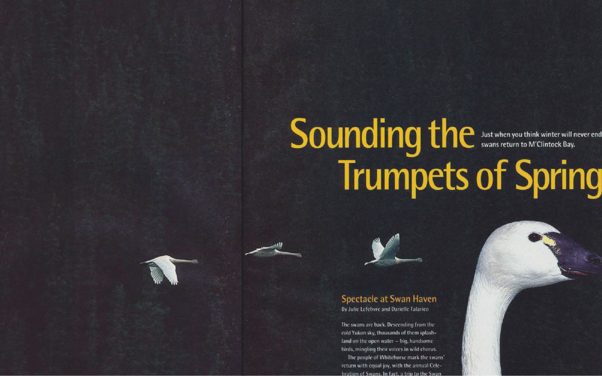 Photo by Wayne Lynch