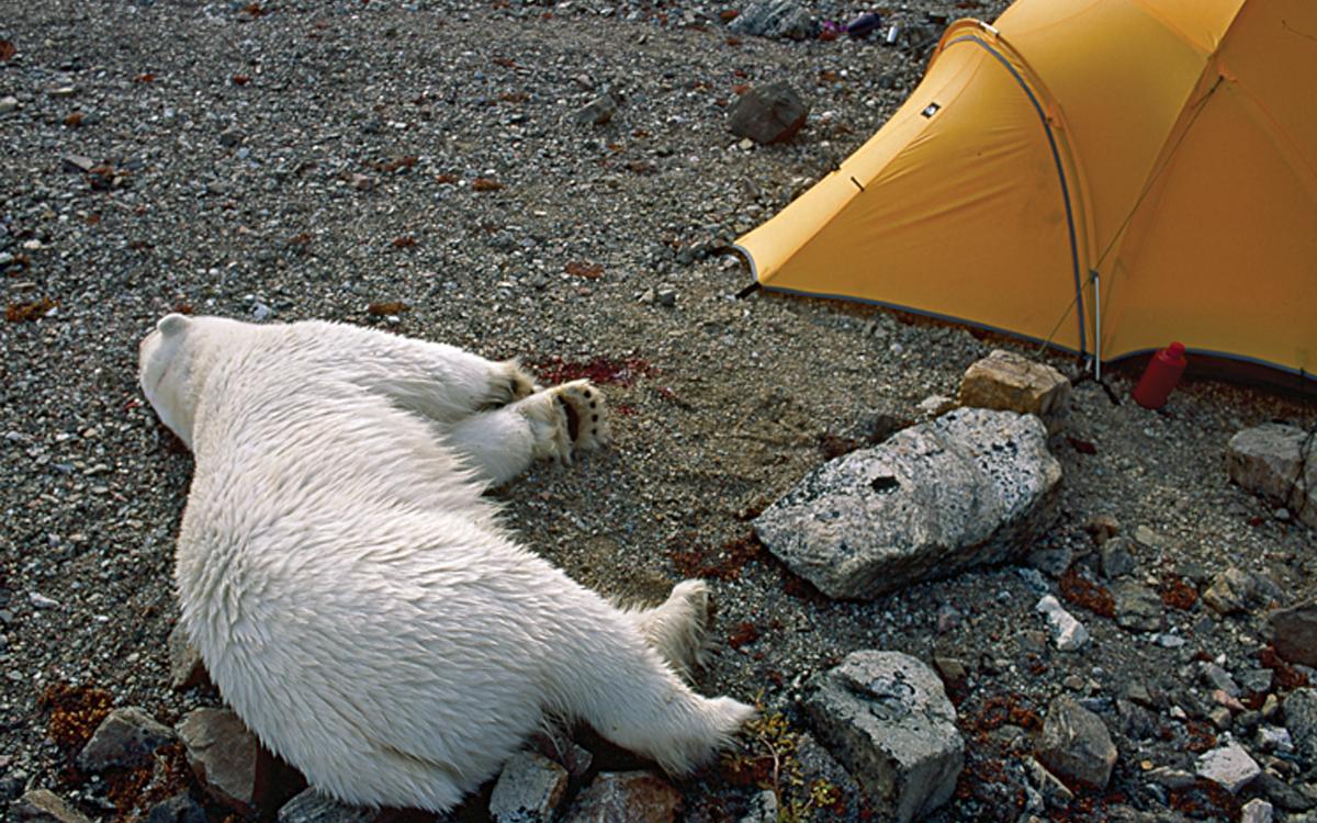 Photo courtesy Stephen Smith