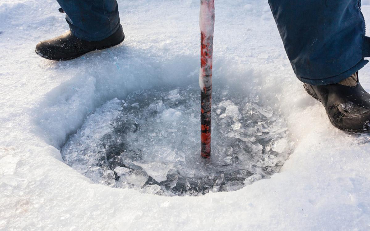 Photo by Hannah Eden/Up Here