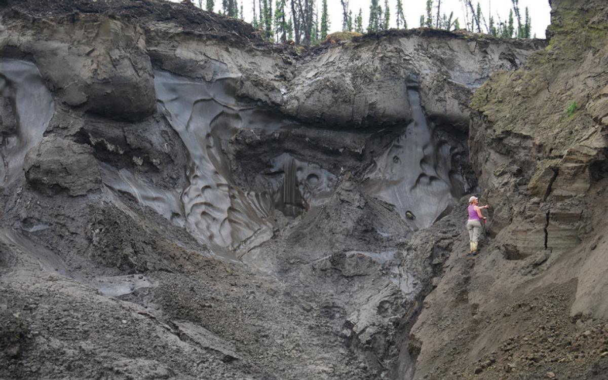 Paleontologist Elizabeth Hall stands on an exposure of permafrost at a placer mine, where Ice Age mammal bones are typically found. Photo courtesy of Government of Yukon