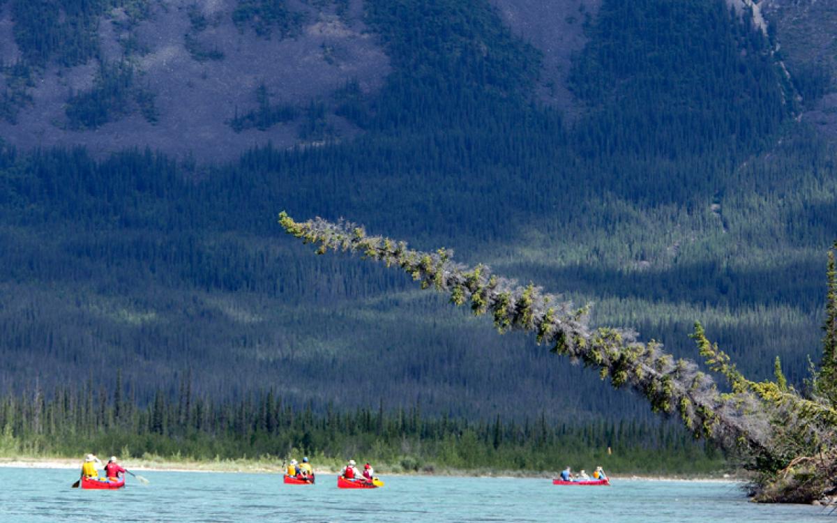 Photo courtesy Mike Peake/Canoe North Adventures