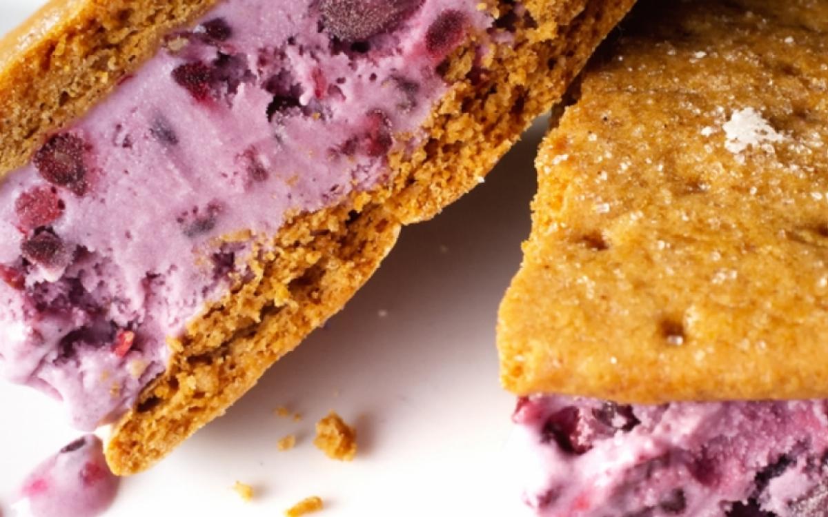 BREAKFAST OF DOG SLEDDING CHAMPIONS. PHOTO BY RALPH DAILY, VIA CREATIVE COMMONS