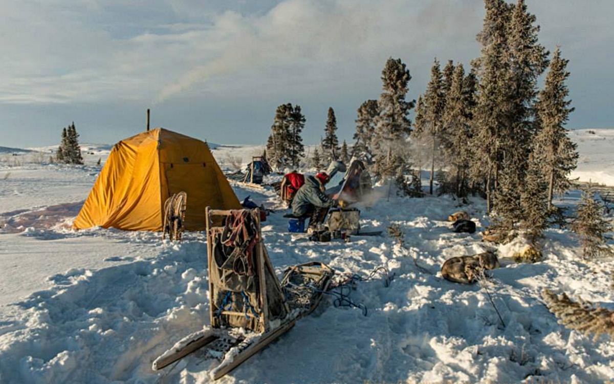 Camp at the Barrenlands. Photo by Kristen Gilbertson Olesen