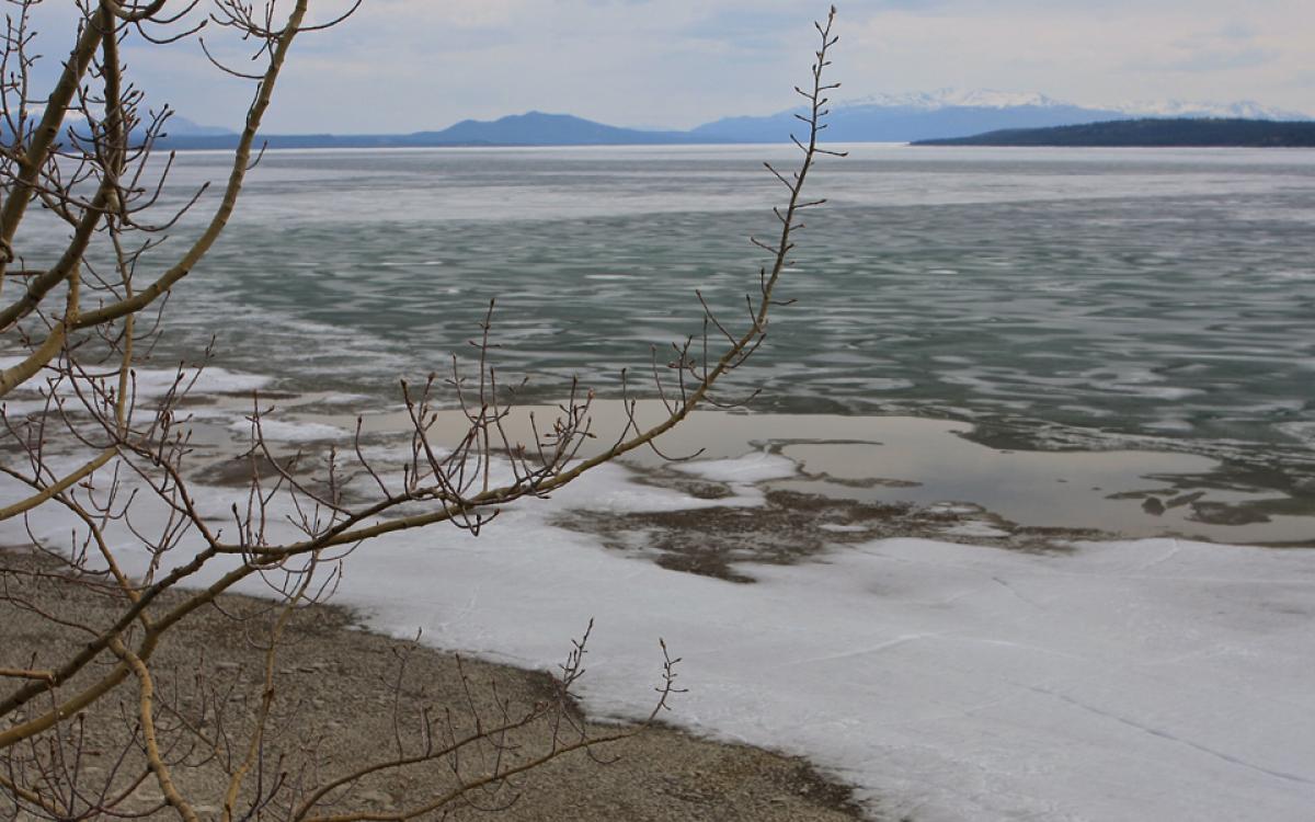 Marsh Lake, Yukon. Photo by TravellingOtter - Flickr (CC BY-SA 2.0)