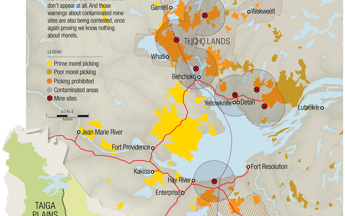 THE BEST SPOTS IN THE NWT