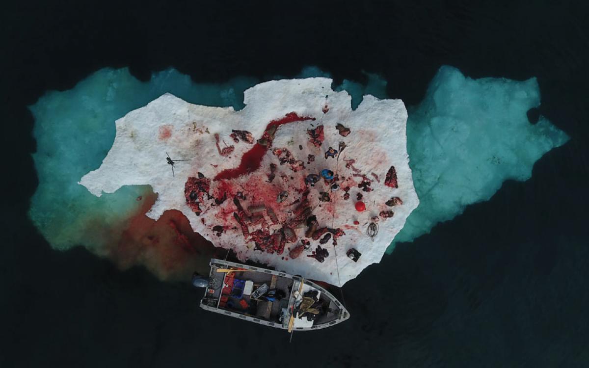 Photo by Robert Kautuk