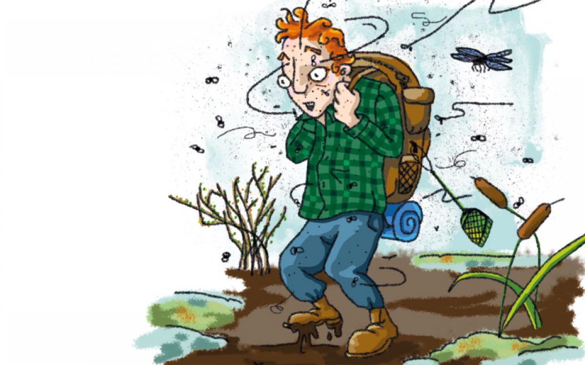 Illustration by Beth Covvey