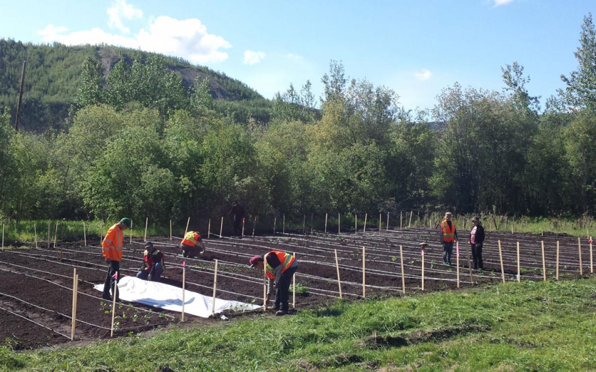 Photo courtesy of Dexter MacRae