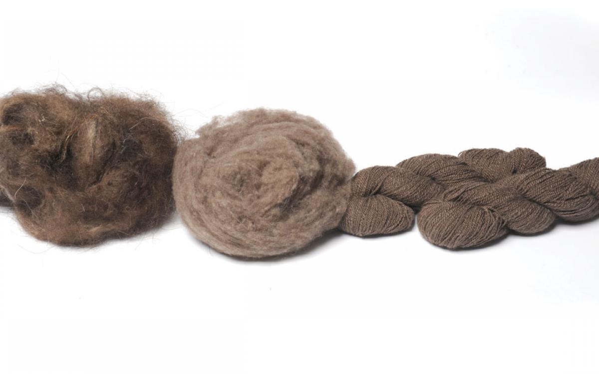 Photo by John Pekelsky