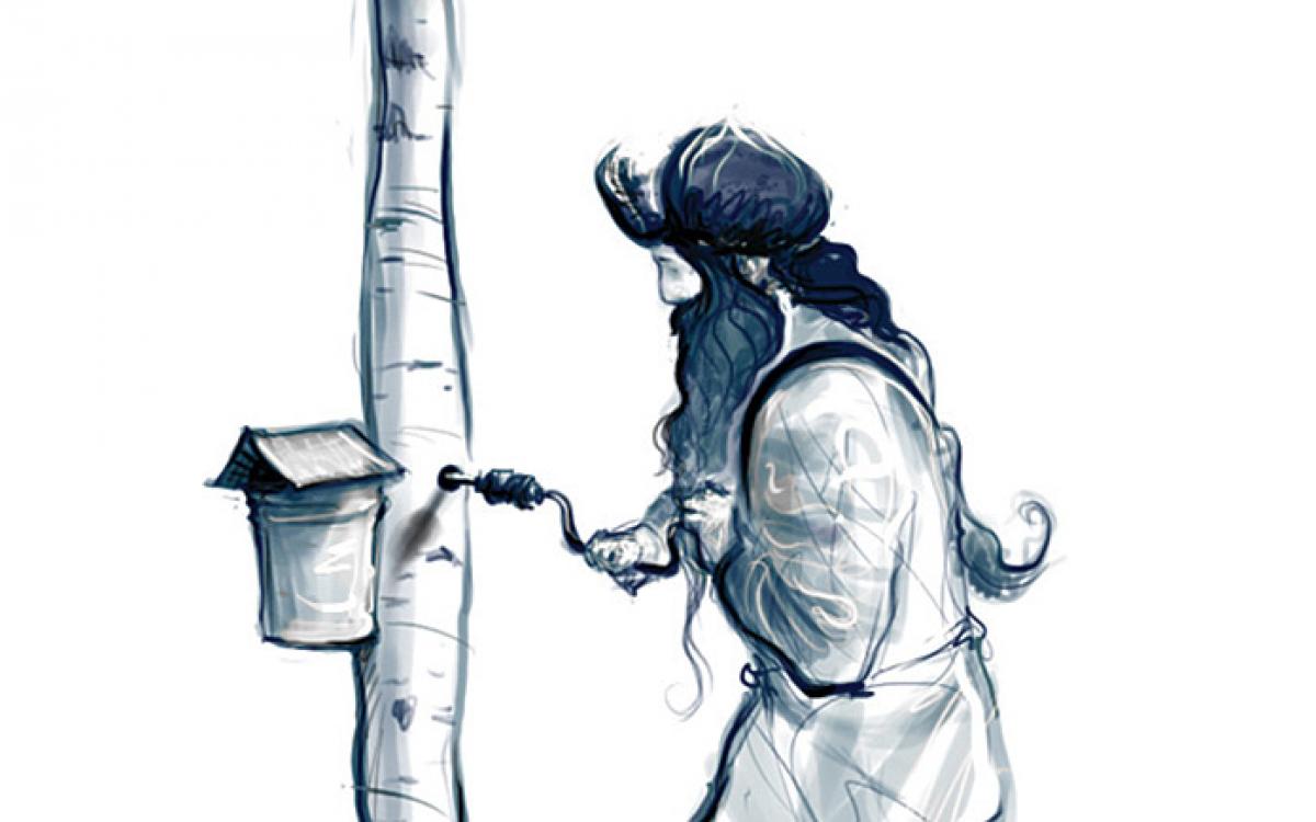 Illustration by Jonathan Wright