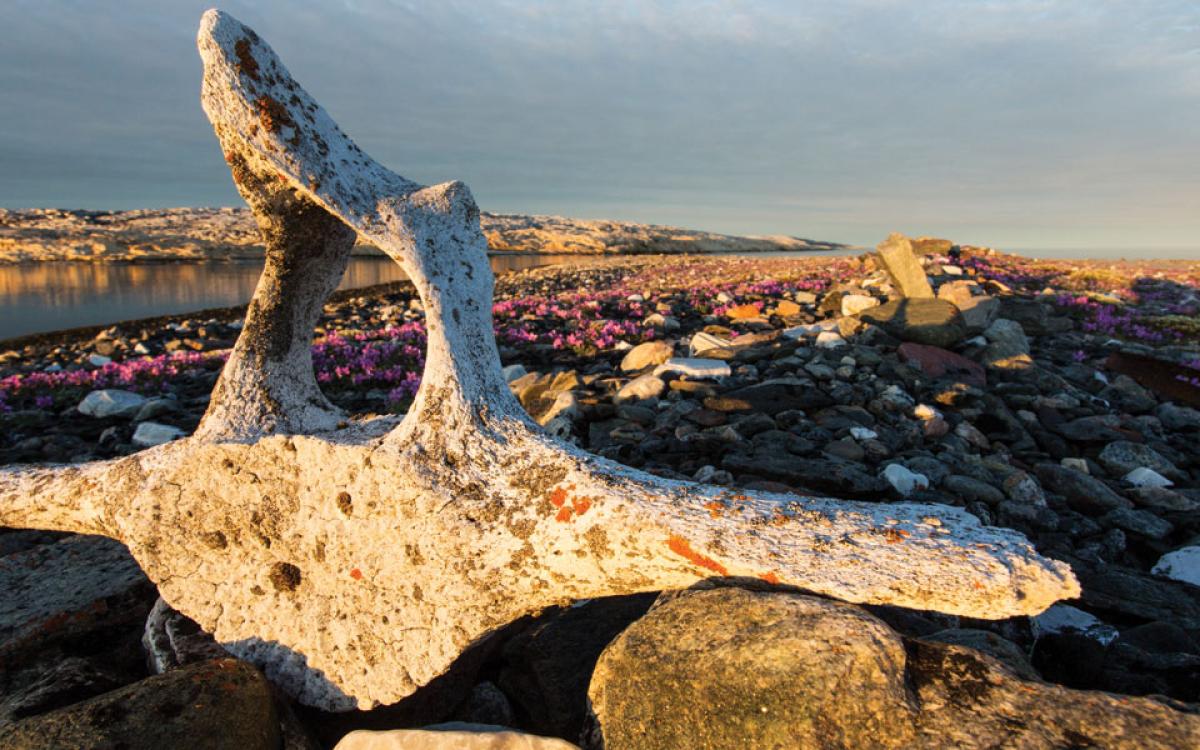 A bowhead whale bone on Deadman’s Island marks the grave of a whaler who died in the 1880s. Photo by Paul Souders/Worldfoto 