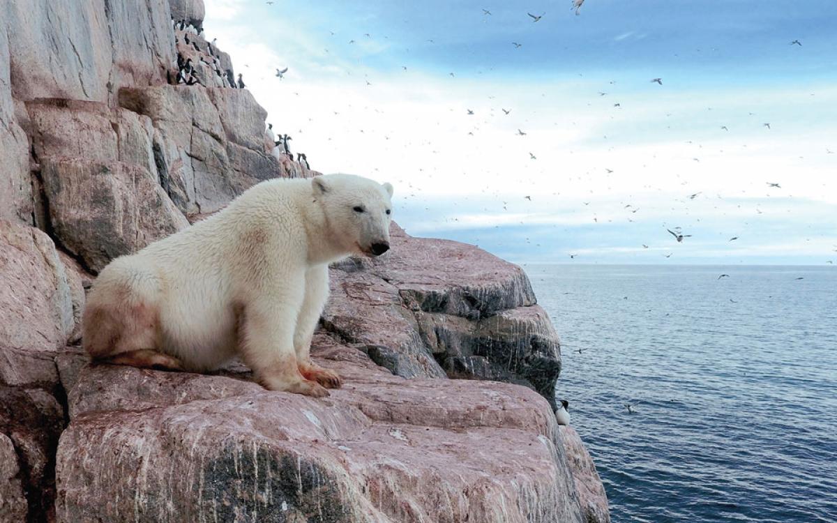 Story and photos by Émile Brisson-Curadeau