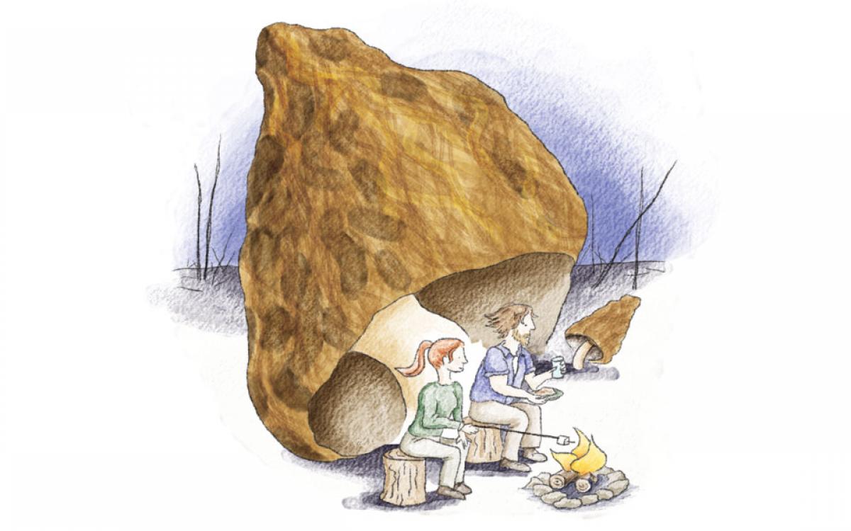 Illustration by Beth Covvey