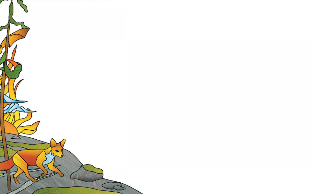 Illustration by Beth Covvey