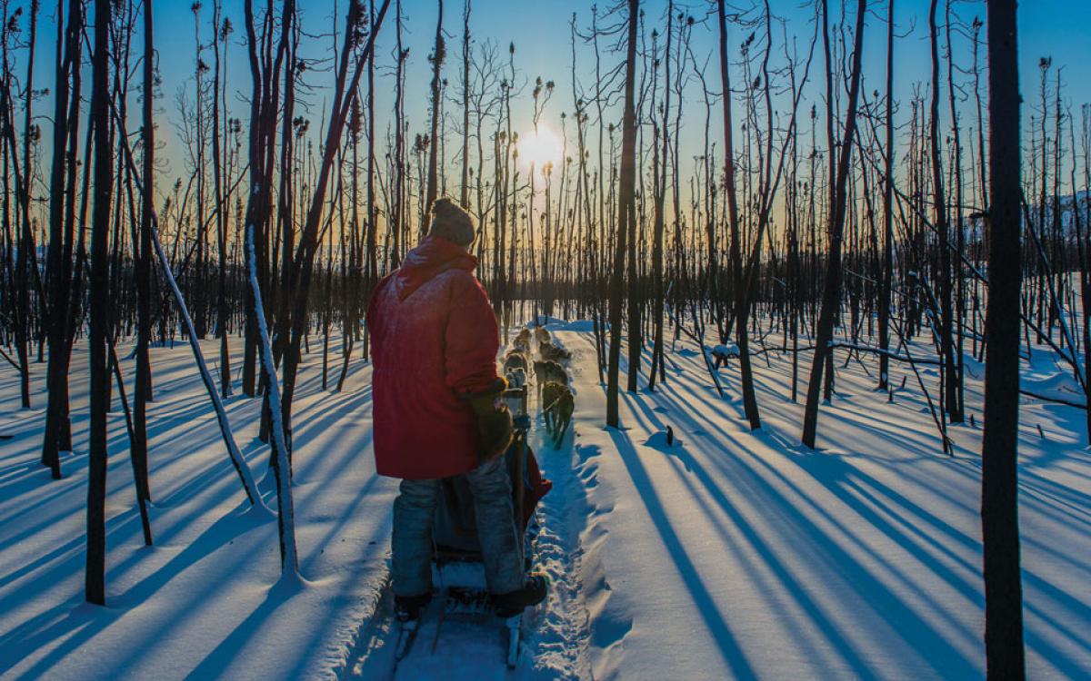 Photo by Kristen Olesen