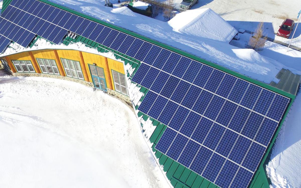 Photo courtesy Shane Andre