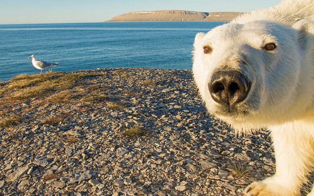 Photo by Nansen Weber