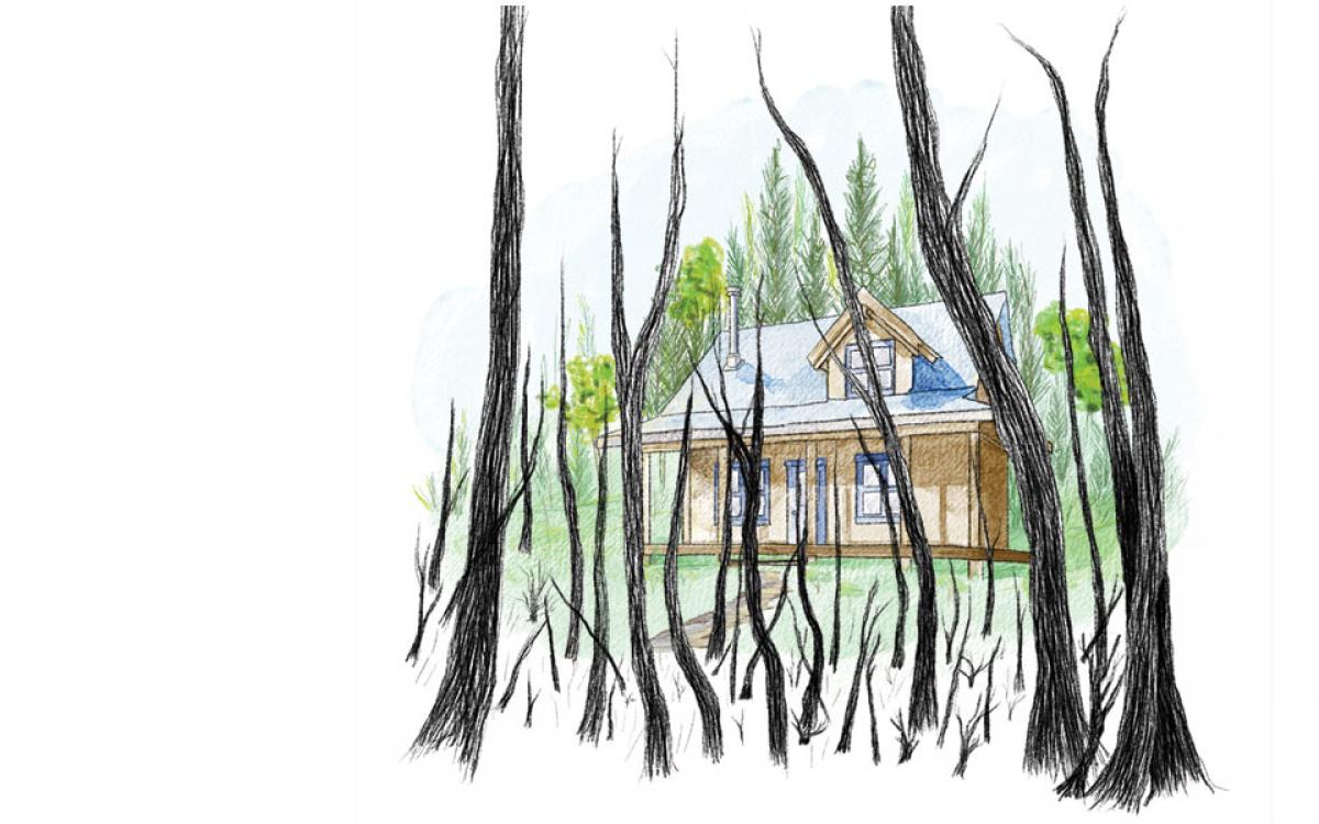 Illustration by Beth Covvey