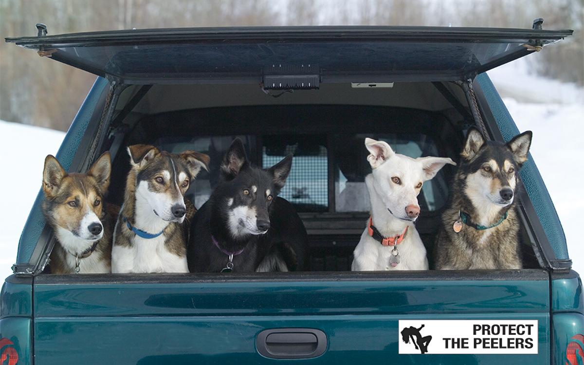 Photo by Pat Kane/Up Here