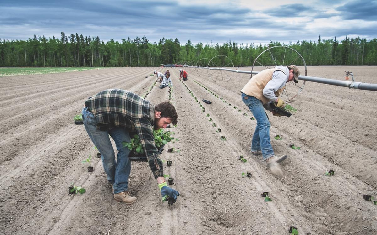 Steve and Bonnie MacKenzie-Grieve have been growing produce since the early 2000s. 