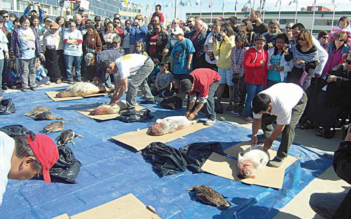 Photo courtesy of Lesley Farrow