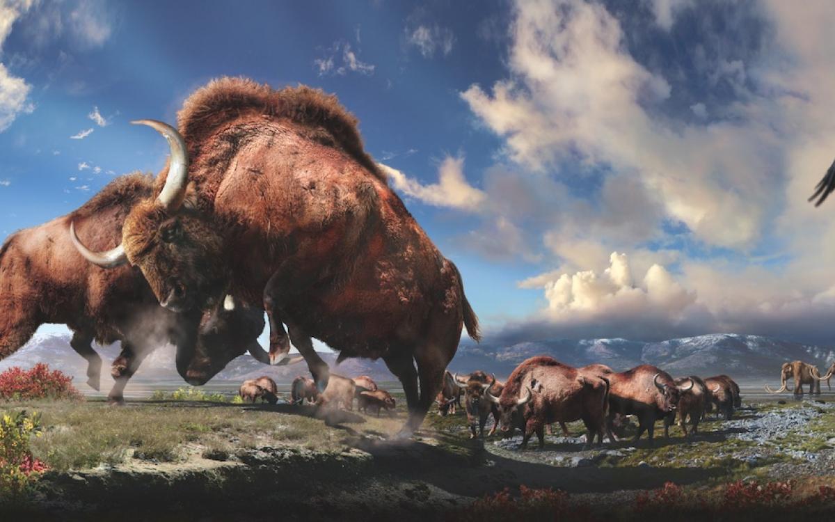 COURTESY JULIUS CSOTONYI. PHOTOS COURTESY PRINCE OF WALES NORTHERN HERITAGE CENTRE