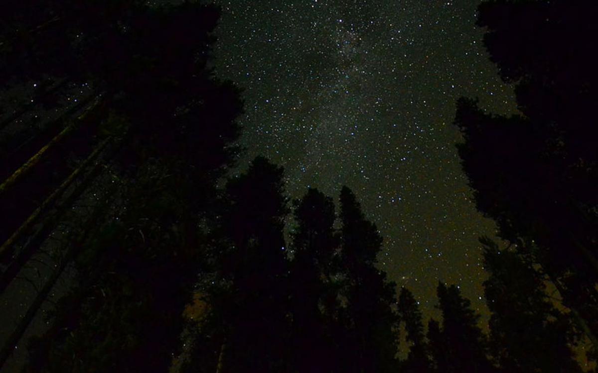 Photo by Sayamindu Dasgupta