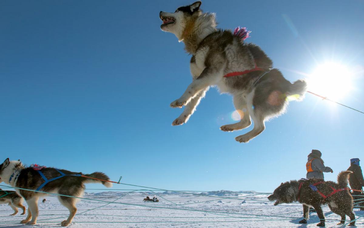 Photo by Pierre Dunnigan/Makivik